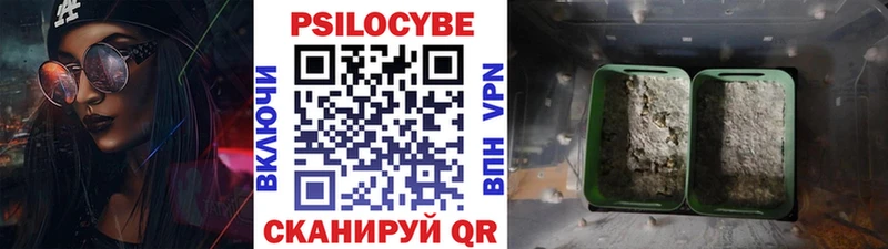 Галлюциногенные грибы мицелий  Лениногорск 